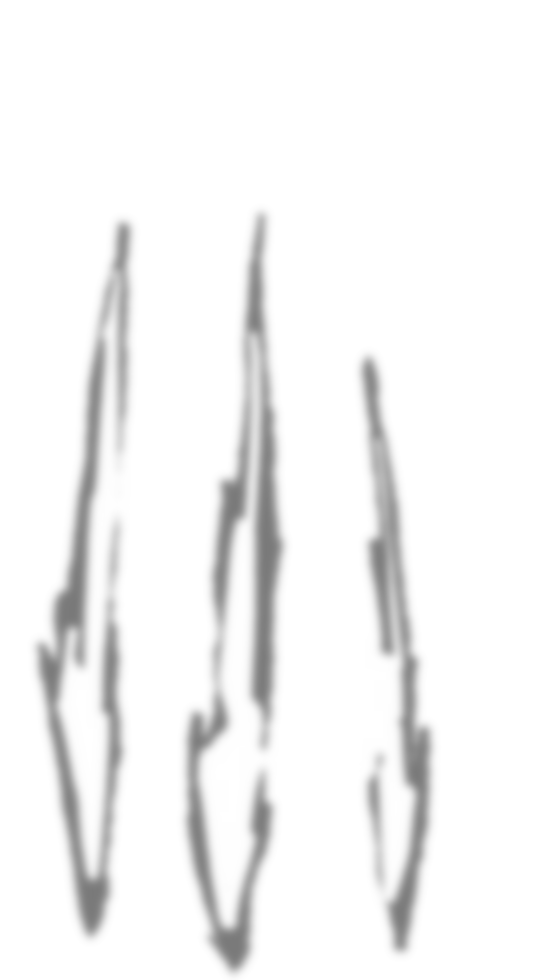 Panel 2 Slash 3